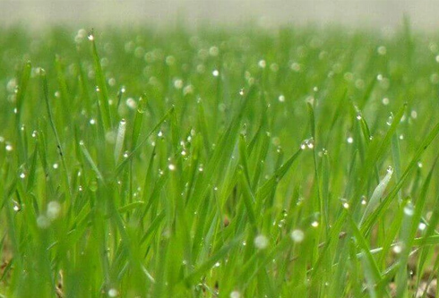 pg电子官网_游戏首页入口